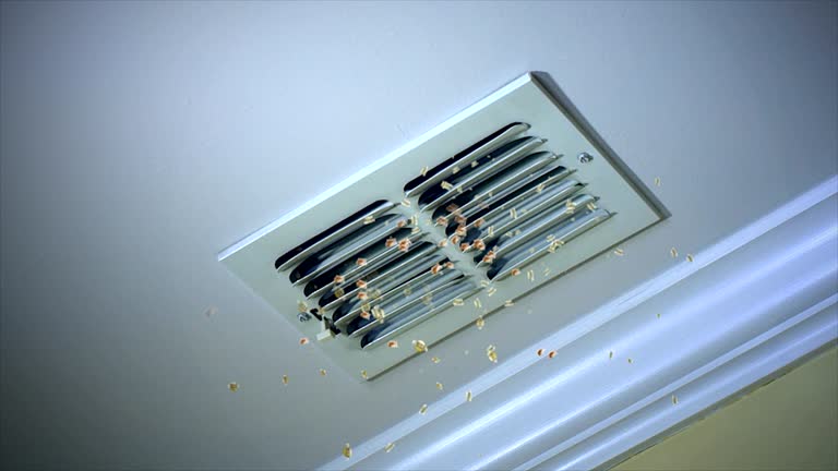 Best Best Air Duct Cleaning Company  in Hallsville, TX