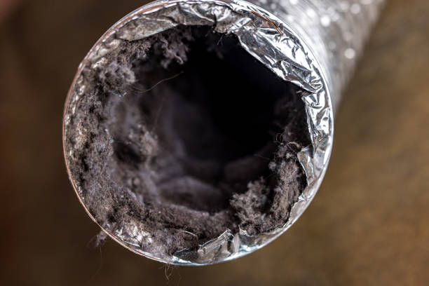 Best Air Vent Cleaning Services  in Hallsville, TX